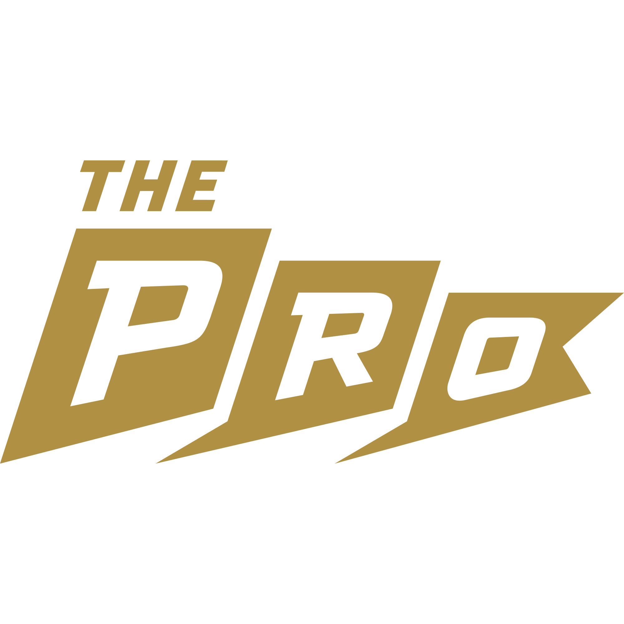 The PRO